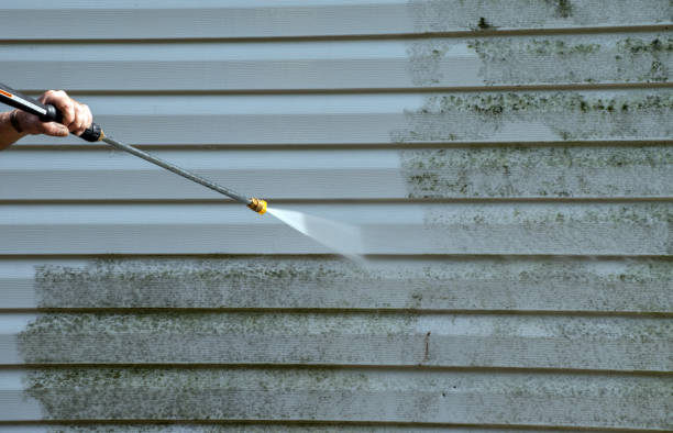 Best Driveway Pressure Washing  in Luxemburg, WI